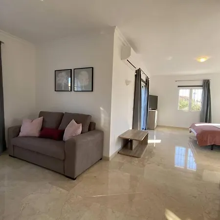 Large Modern Villa With Private Swimming Pool Villa
